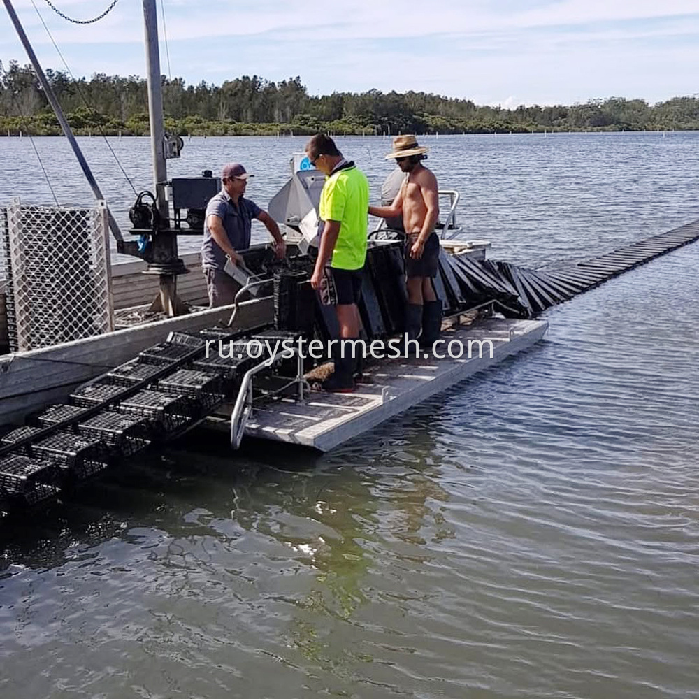 Oyster Cradle Rolling Culture Usage (3)